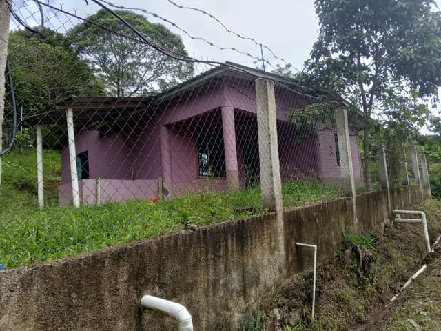 8de47378-f9c8-442d-90e3-7b8c05a44983