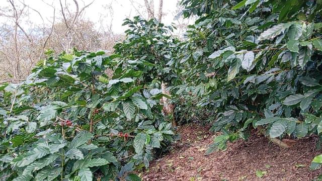 74113378-fc0e-4b8f-acfb-0369c97bae65