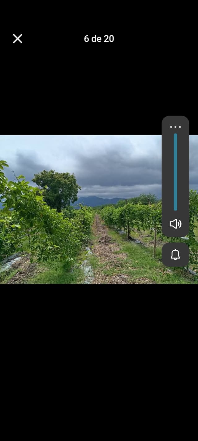 96eb97ac-88e2-40a0-9fff-6c0387370c8f