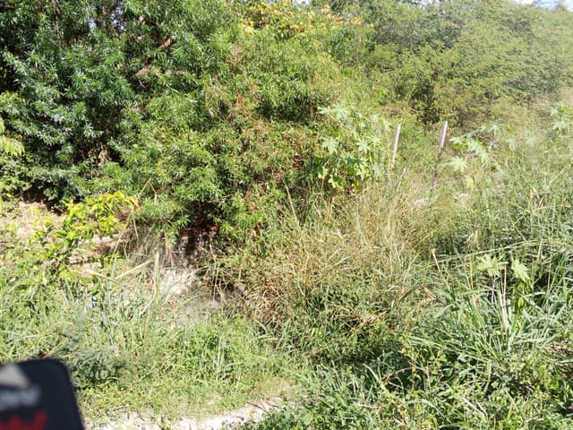 4179bc20-6065-4397-8dd3-af37eea305b4