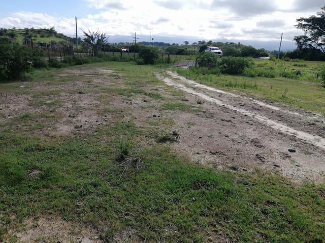 c1e03fd6-0a51-4727-863e-e30841c8d578