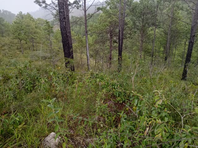 c39f9a37-c294-491c-b9b4-0fbb37a4d3c9