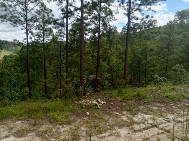 c39f9a37-c294-491c-b9b4-0fbb37a4d3c9