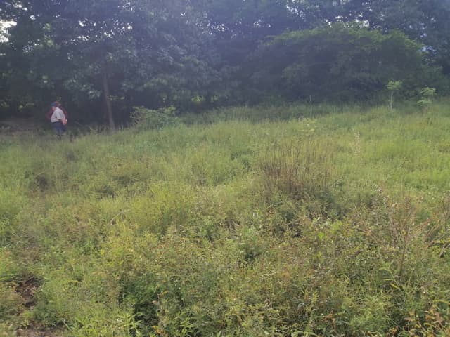 b75734cb-9398-41b0-a5fd-671e722a5b2d