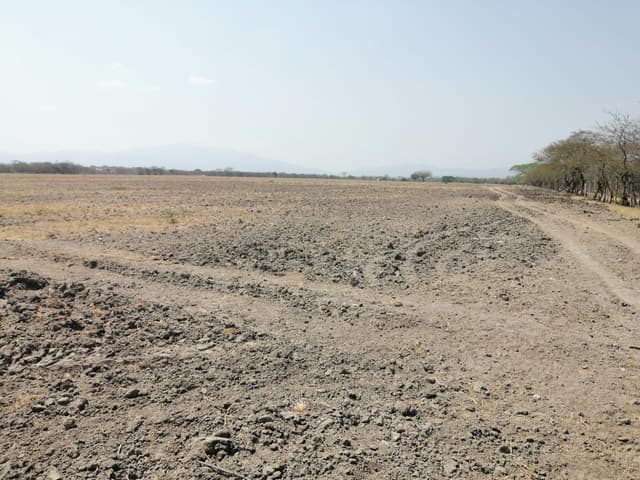 3b3462b4-cd7e-4b6d-80eb-82326d03bb63