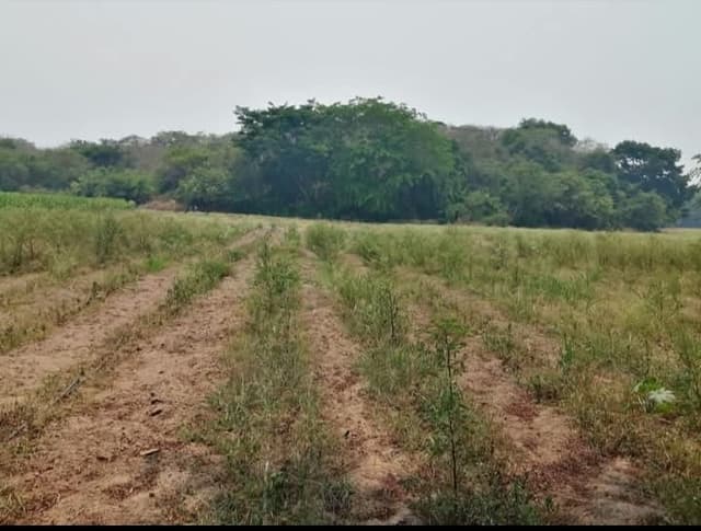 3b3462b4-cd7e-4b6d-80eb-82326d03bb63