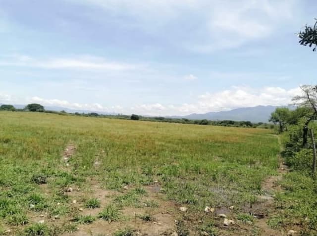 df8d558a-a2ed-42f0-8ad8-8e681b351158