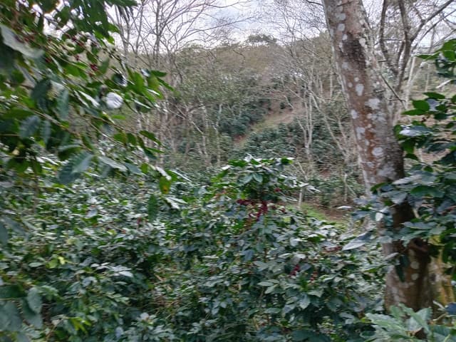 74113378-fc0e-4b8f-acfb-0369c97bae65