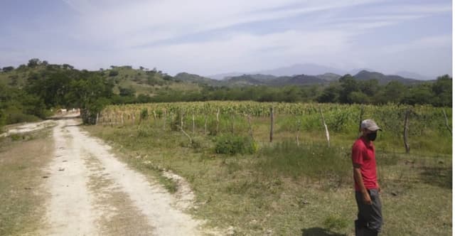 9d959ec6-d097-46d3-ab85-b34e8644655b