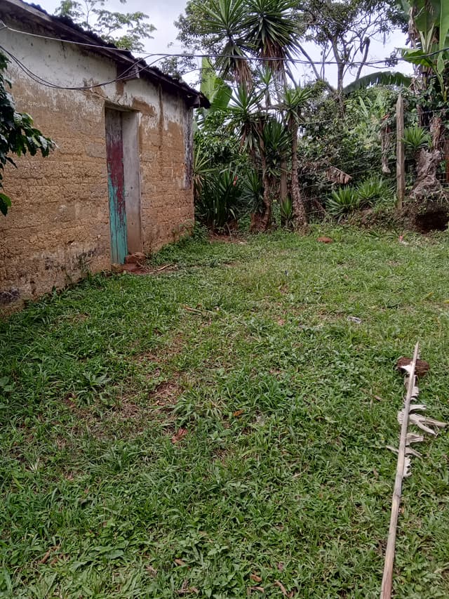 b9816b90-aacb-4330-84b5-32854f21568f