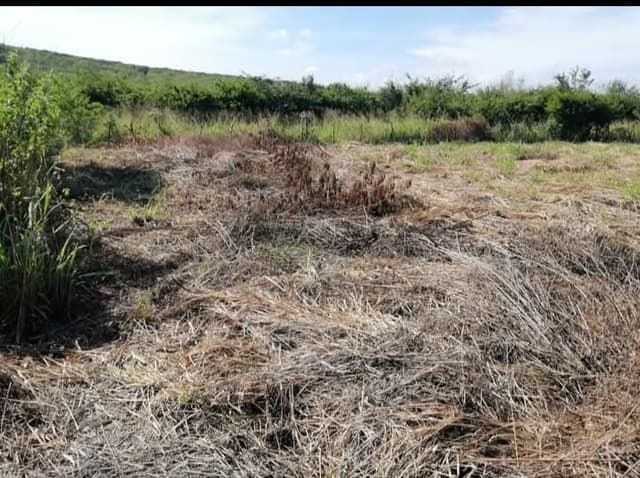 e84c438b-30bf-4e57-9fb2-1828fed3060b