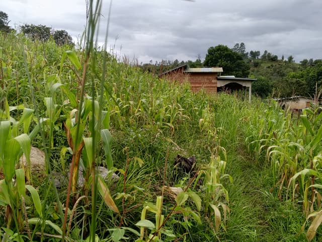 f6e9f76d-dd03-44e0-88f6-e1933ed38359