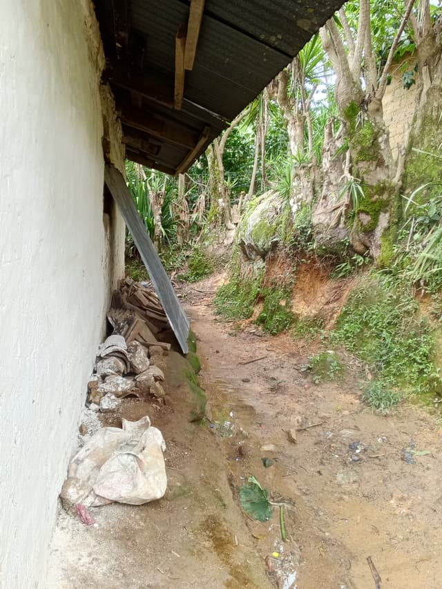 b9816b90-aacb-4330-84b5-32854f21568f