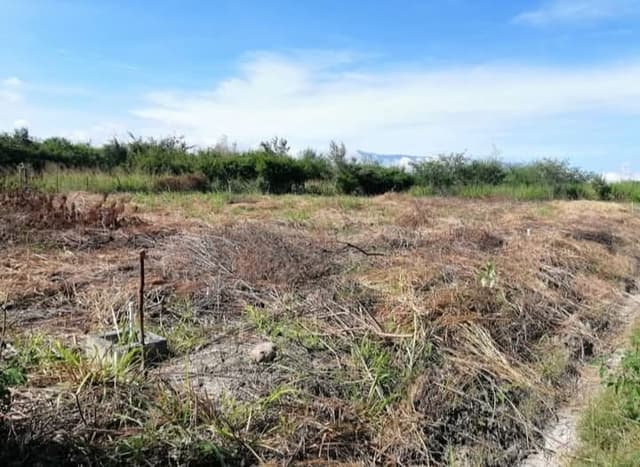 e84c438b-30bf-4e57-9fb2-1828fed3060b