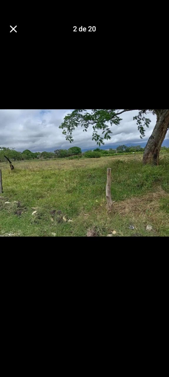 52c0091c-47a0-4383-acf4-c6a7446c358e