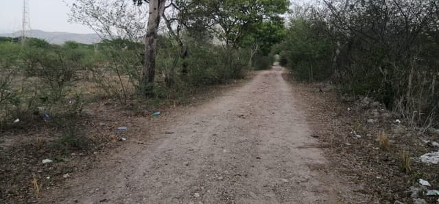 d618040f-f82c-4423-978b-0218a3282bd8