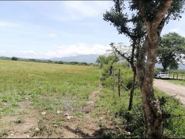 df8d558a-a2ed-42f0-8ad8-8e681b351158