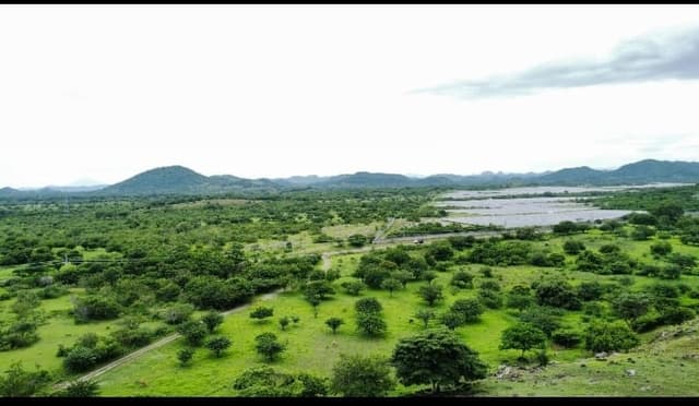 b5cee3d2-b32f-49f8-9299-ca2b1b898cac