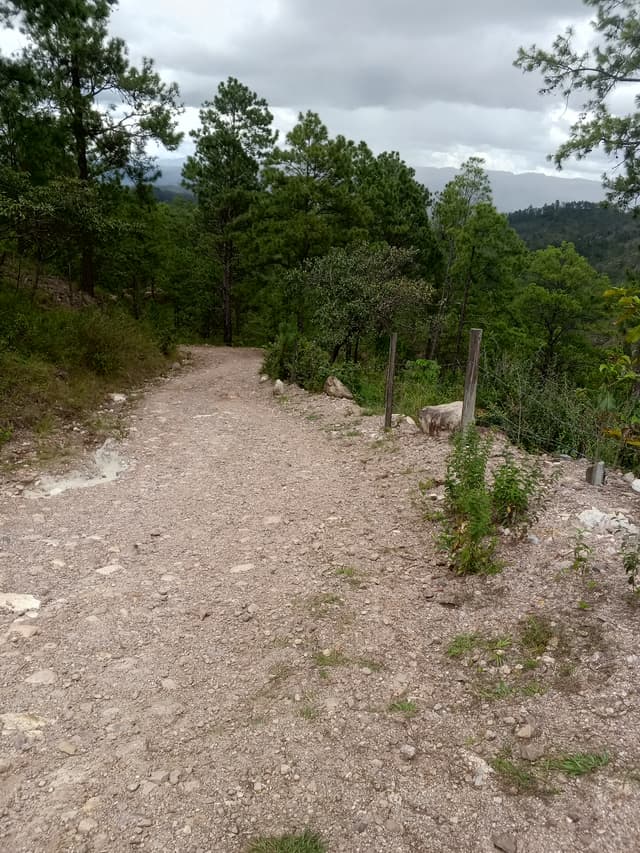 c39f9a37-c294-491c-b9b4-0fbb37a4d3c9