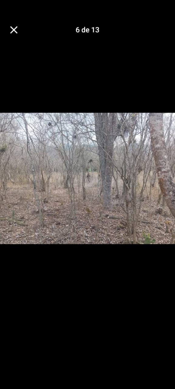 2f7ae37c-2db9-4a36-895c-6fd84ff7913b