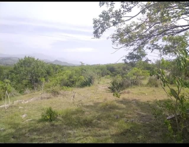 9d959ec6-d097-46d3-ab85-b34e8644655b