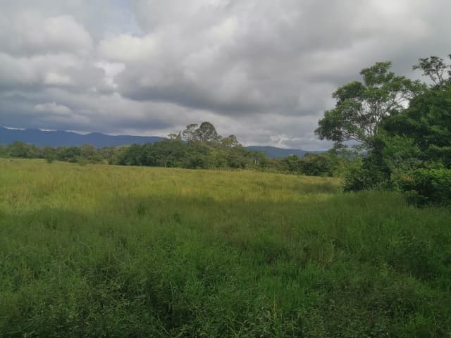 b75734cb-9398-41b0-a5fd-671e722a5b2d