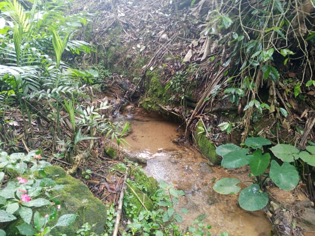 d1698813-3c5b-4381-9f9d-53d74816422d