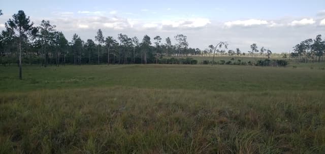 0b1e9171-cae7-4751-9765-c345cab23abf