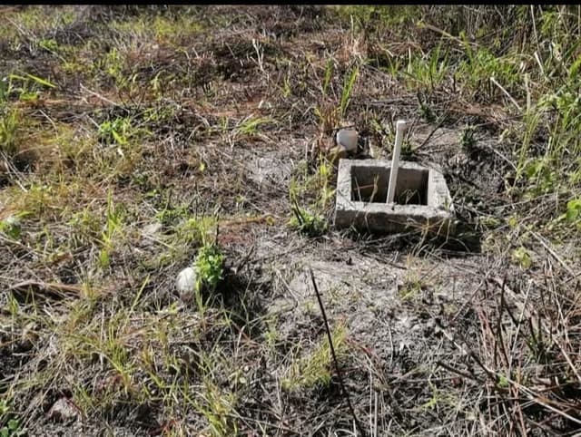 e84c438b-30bf-4e57-9fb2-1828fed3060b