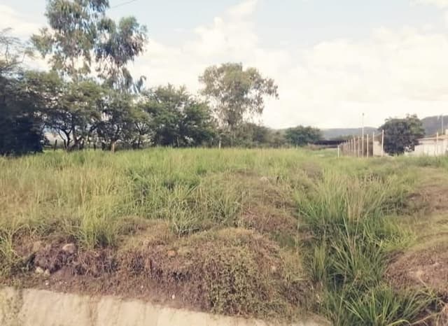 c36d5f5e-775a-49af-a5b5-ac320fd16929