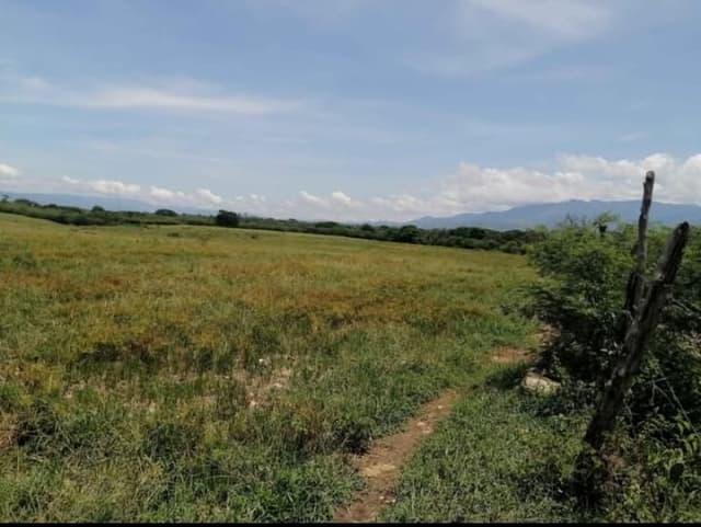 df8d558a-a2ed-42f0-8ad8-8e681b351158