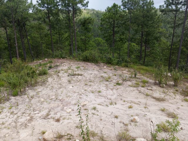 c39f9a37-c294-491c-b9b4-0fbb37a4d3c9