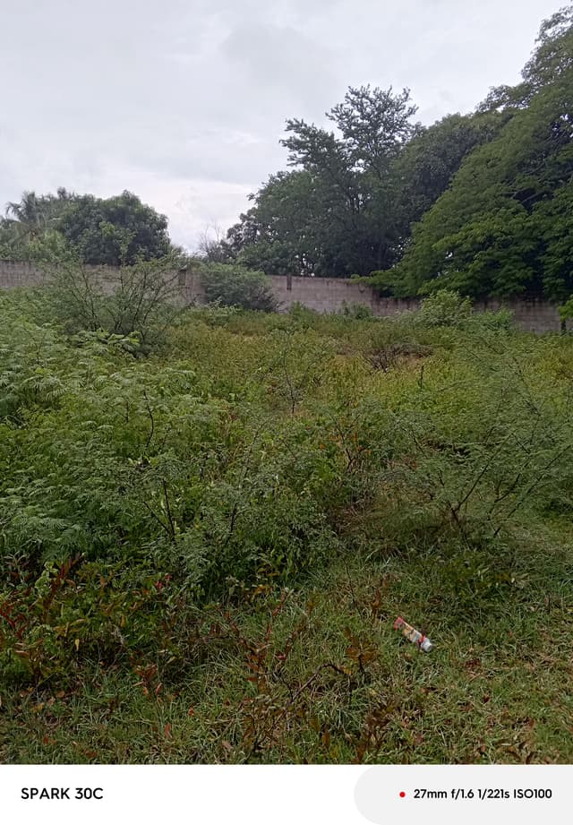 da64f34c-8e96-47f1-849a-de364d62c38c