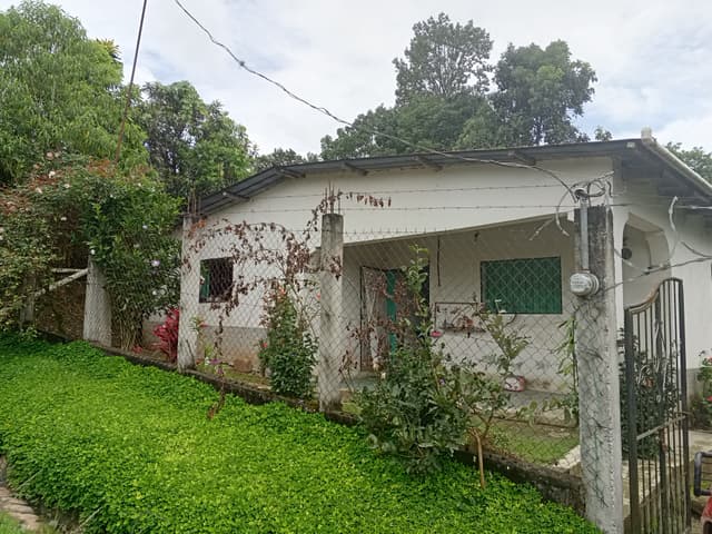 24bf7dde-c307-4029-90d6-17c4ffb11709