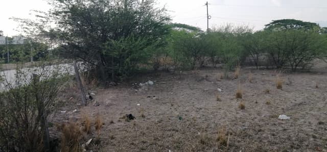 d618040f-f82c-4423-978b-0218a3282bd8