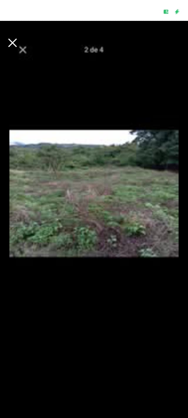 6eebd21a-3b46-496e-96c8-40136579ef7d