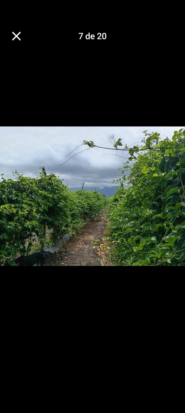 96eb97ac-88e2-40a0-9fff-6c0387370c8f