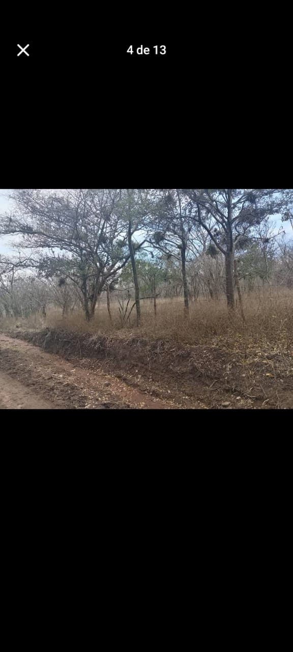 2f7ae37c-2db9-4a36-895c-6fd84ff7913b