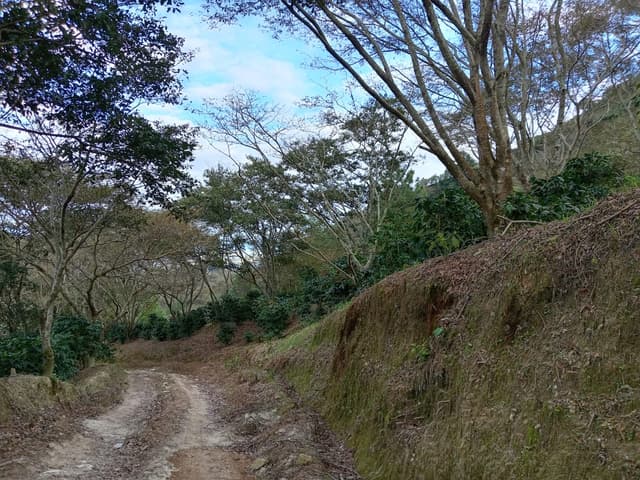 74113378-fc0e-4b8f-acfb-0369c97bae65