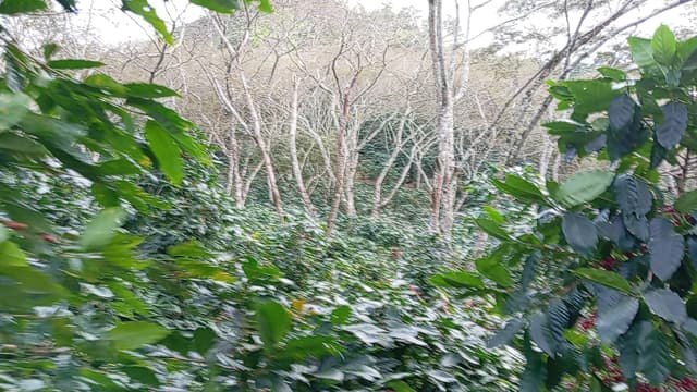 74113378-fc0e-4b8f-acfb-0369c97bae65