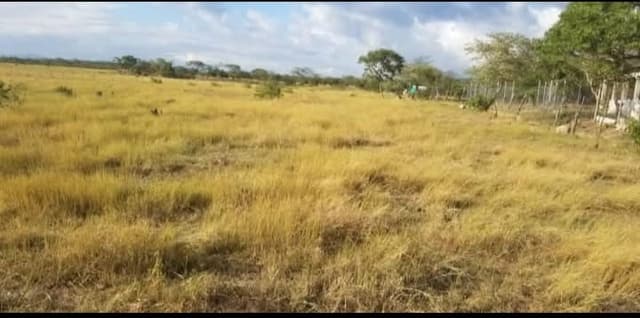 8aa1124f-22ff-4fc0-ae10-401f27d69021