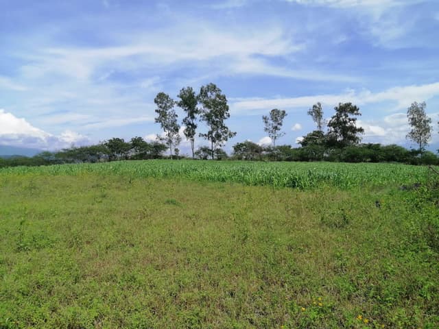 c1e03fd6-0a51-4727-863e-e30841c8d578