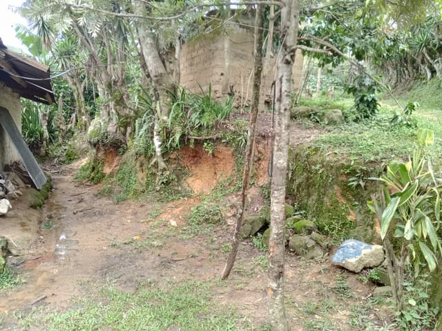 b9816b90-aacb-4330-84b5-32854f21568f