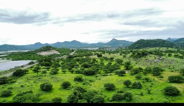 b5cee3d2-b32f-49f8-9299-ca2b1b898cac