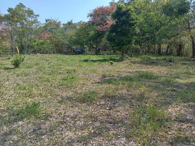 a88f2688-eaf4-4853-90bb-9edaa5b4cb0e