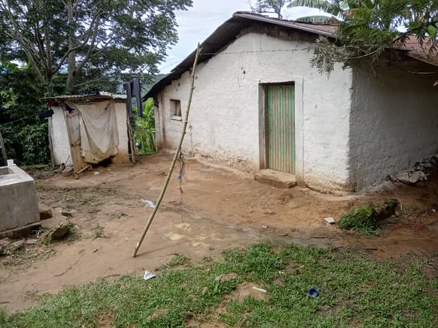 b9816b90-aacb-4330-84b5-32854f21568f