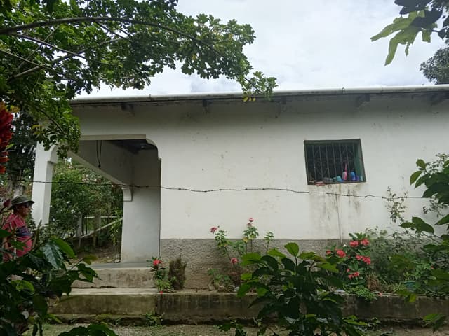 24bf7dde-c307-4029-90d6-17c4ffb11709