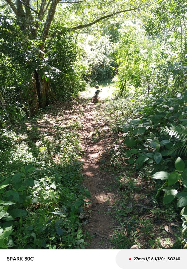 faca1fd7-b093-4602-92a1-867fcd222aee