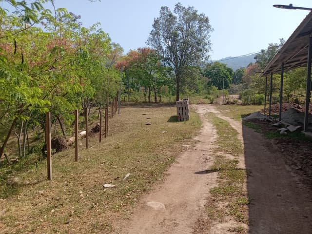 a88f2688-eaf4-4853-90bb-9edaa5b4cb0e