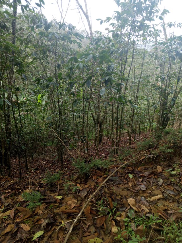 d1698813-3c5b-4381-9f9d-53d74816422d